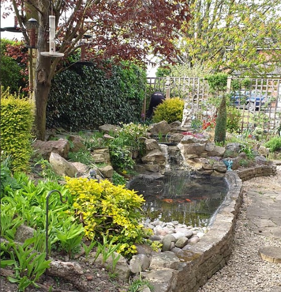 D Hill Services garden pond — a curated rockery and pond feature surrounded by mature planting, from a completed landscaping project