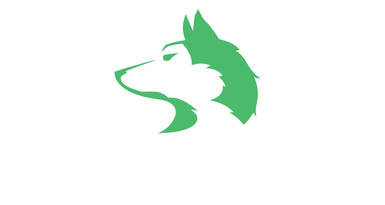 Smart Wolf Logo